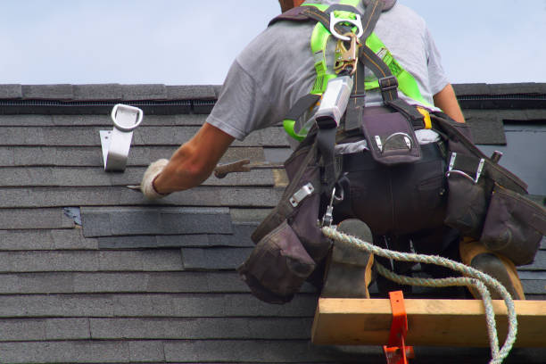 Best Roof Gutter Cleaning  in Milton, LA
